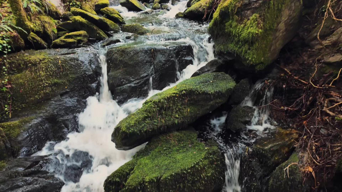 Draguation Speeches Rupaul Season Episode The Ewe's Last Season